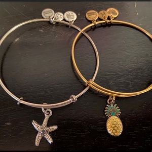 Bundle of 2 Alex & Ani Bracelets (silver & gold)
